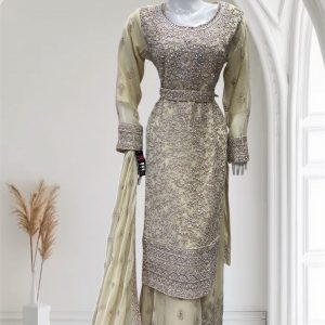 Alternative view of D24 Party Chiffon Plazzo Maroon